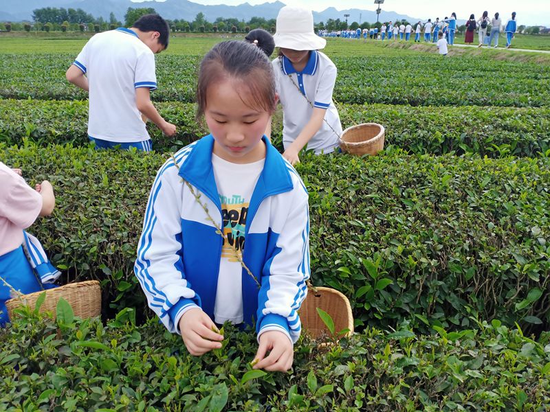 行走在茶马古道 (2).jpg
